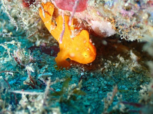 e0115199_17264125.jpg