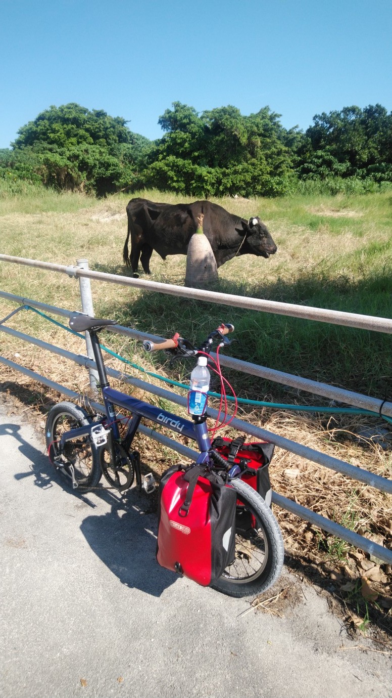 石垣島に行ってきました!_c0132901_07114398.jpg