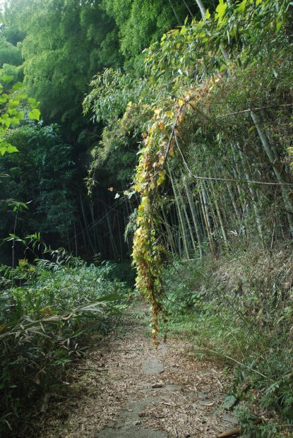 空振りの岡山県製薬のハケ近く。と、感謝の業務連絡_d0359503_16401722.jpg