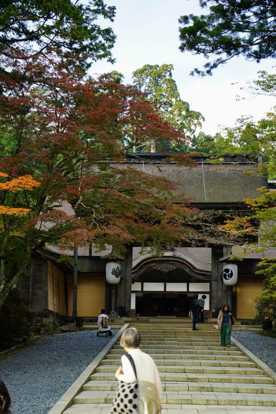 高野山金剛峰寺_a0136507_21374268.jpg