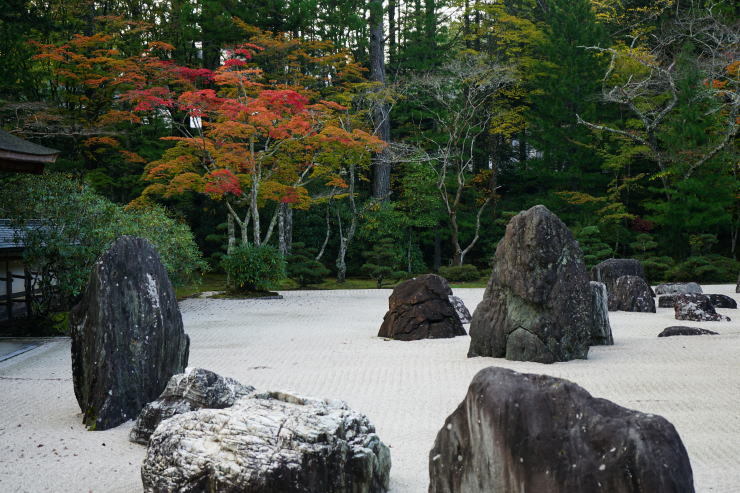 高野山金剛峰寺_a0136507_21385535.jpg