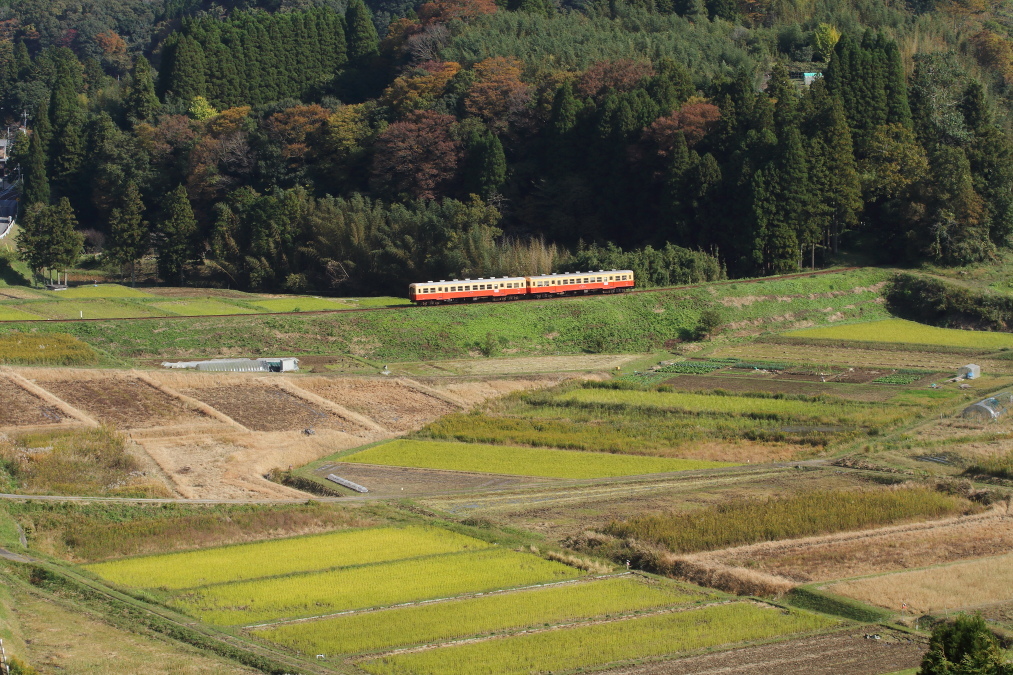 晩秋の新緑 - 2016年・小湊鉄道 -_b0190710_20563023.jpg