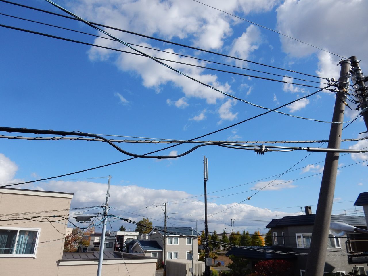 11月になりました_c0025115_21594354.jpg