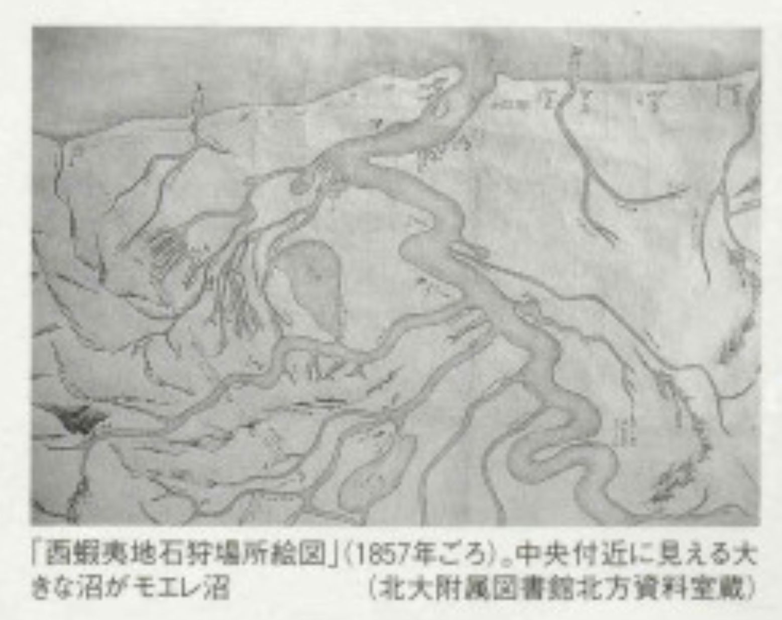 11月になりました_c0025115_22023194.jpg