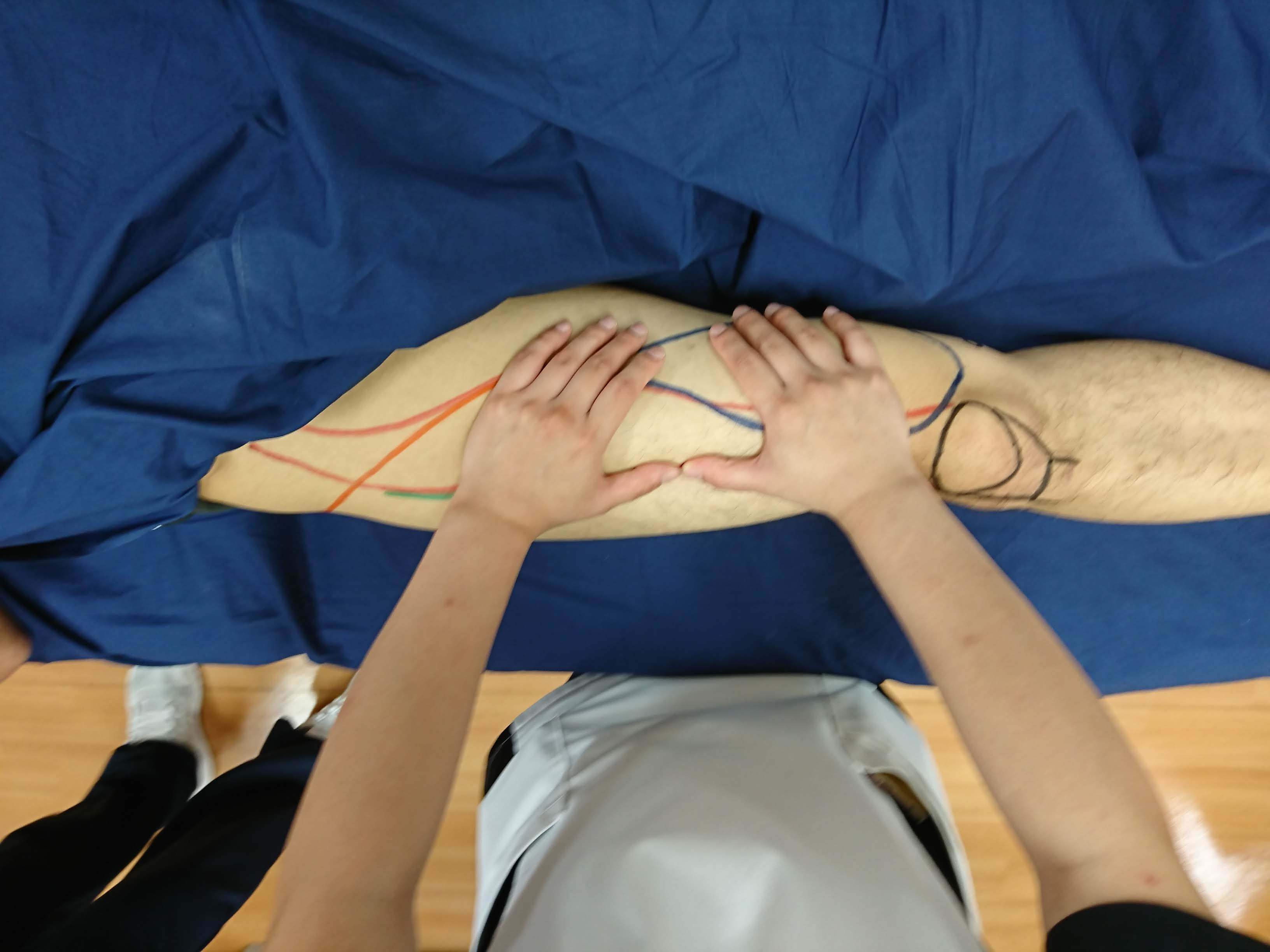 第171回TOC体表解剖勉強会｜大腿四頭筋(大腿直筋、内側広筋、中間広筋、外側広筋)の触察技術の向上_b0329026_00115954.jpg