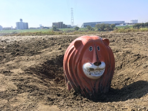 【号外】獅子太郎イリュージョン 多摩川氾濫 泥脱出_f0203027_11490308.jpg