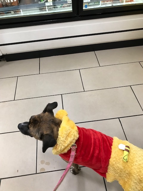 d0269832_19453219.jpeg