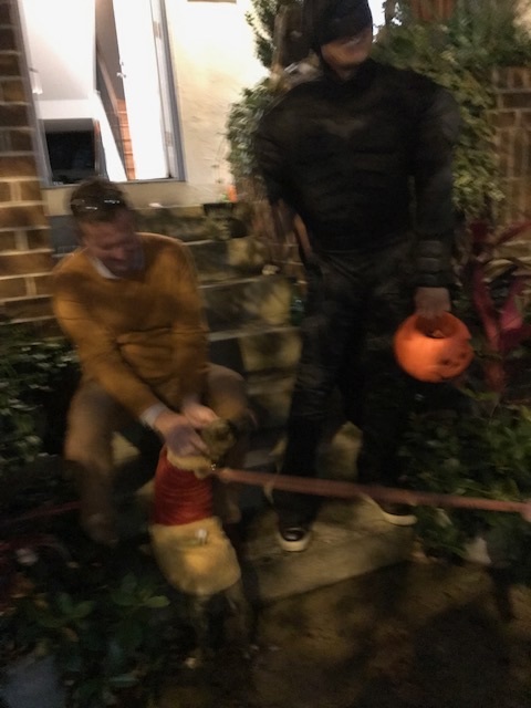 d0269832_19462330.jpeg