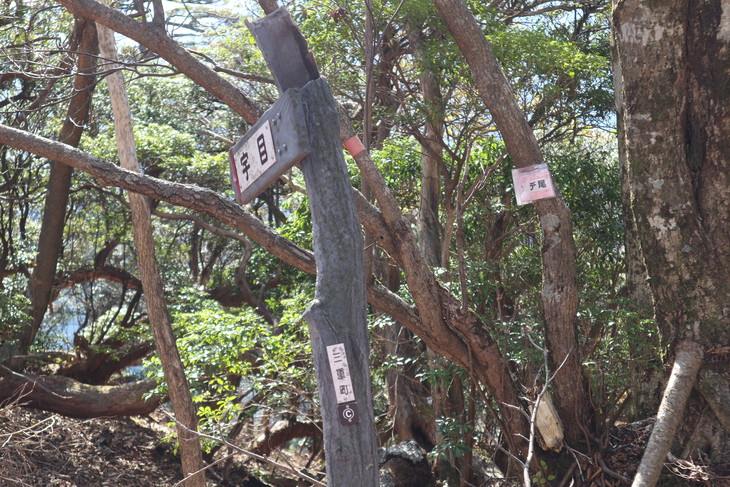 傾山山旅(冷水コース)_e0272335_59504.jpg