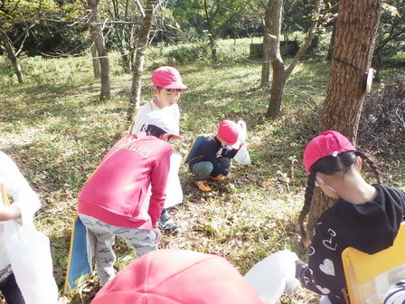 秋の校外学習_a0123836_15135270.jpg