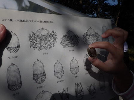 秋の校外学習_a0123836_15135582.jpg