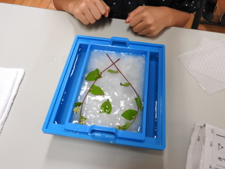秋の校外学習_a0123836_15435417.jpg