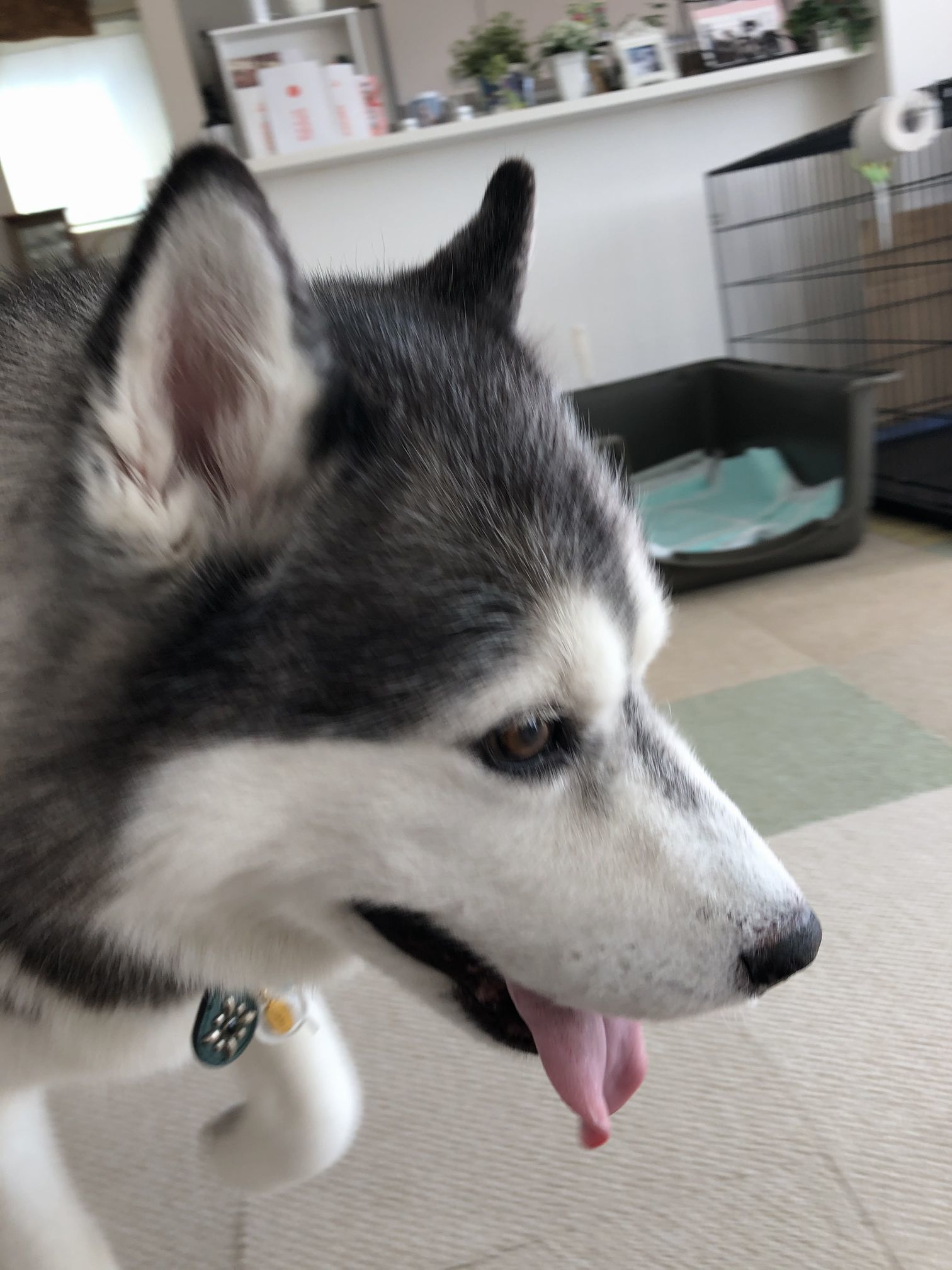2019年10月 お誕生会オフ その2_f0128542_01560797.jpg