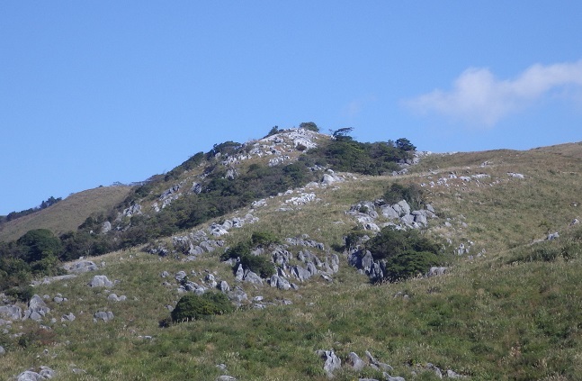 e0164643_10383413.jpg