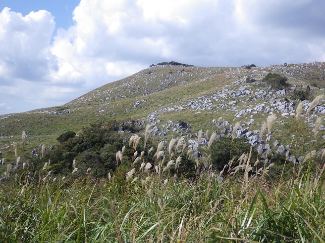 e0164643_10383796.jpg