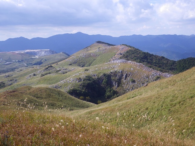e0164643_10384569.jpg