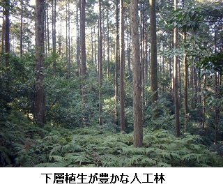 e0126350_18312684.jpg