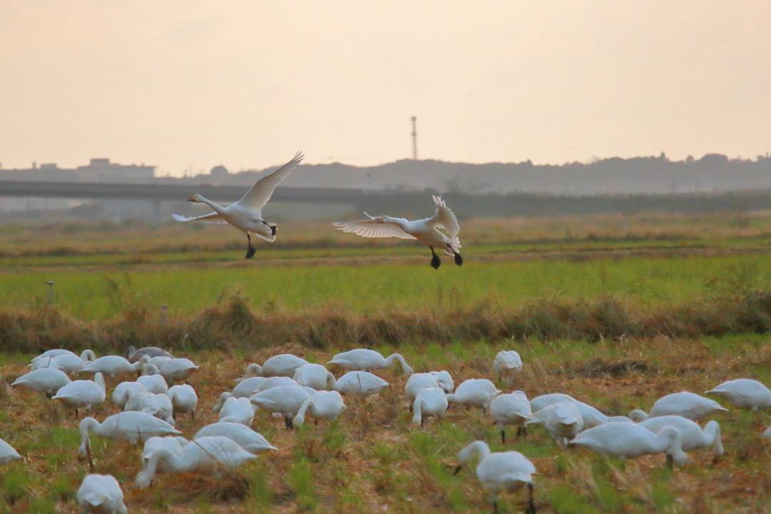 2019総集編その19_e0403850_23052340.jpg