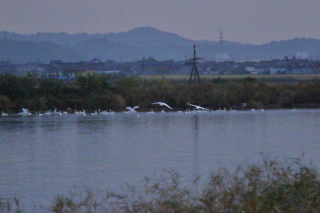 e0403850_23053125.jpg