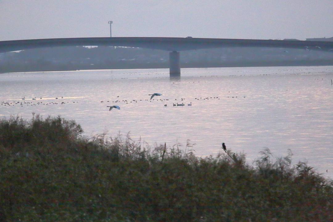e0403850_23055490.jpg