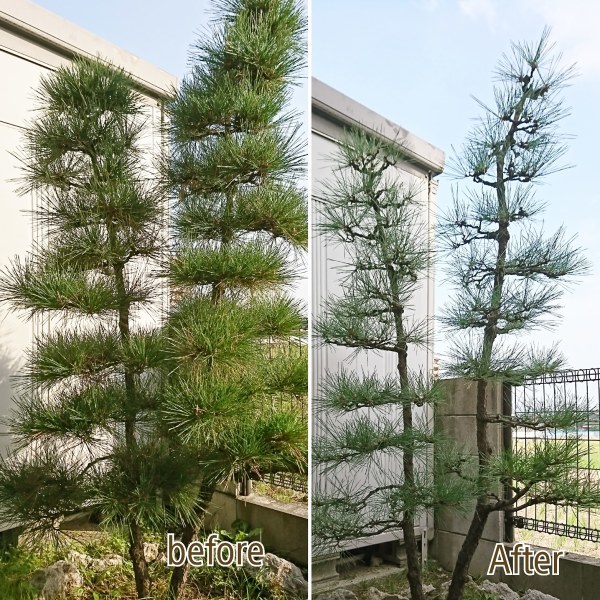 ++掃除・&刺し子で心をリフレッシュ*++_e0354456_08282909.jpg