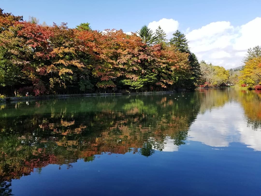 2019・軽井沢の紅葉速報④ * 10月30日の雲場池~ケラ池スケートリンクの紅葉♪_f0236260_05302536.jpg