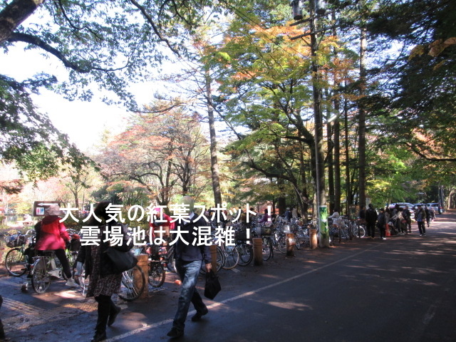 2019・軽井沢の紅葉速報④ * 10月30日の雲場池~ケラ池スケートリンクの紅葉♪_f0236260_14431899.jpg