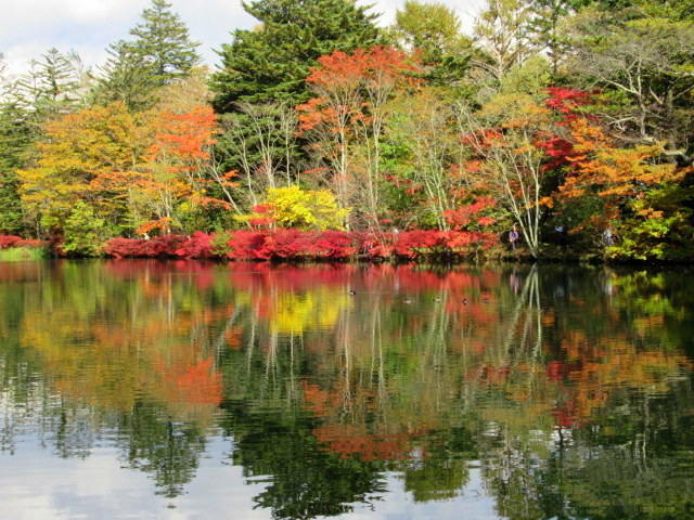 2019・軽井沢の紅葉速報④ * 10月30日の雲場池~ケラ池スケートリンクの紅葉♪_f0236260_14441819.jpg