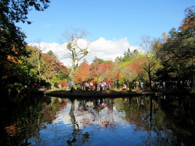 2019・軽井沢の紅葉速報④ * 10月30日の雲場池~ケラ池スケートリンクの紅葉♪_f0236260_14452800.jpg
