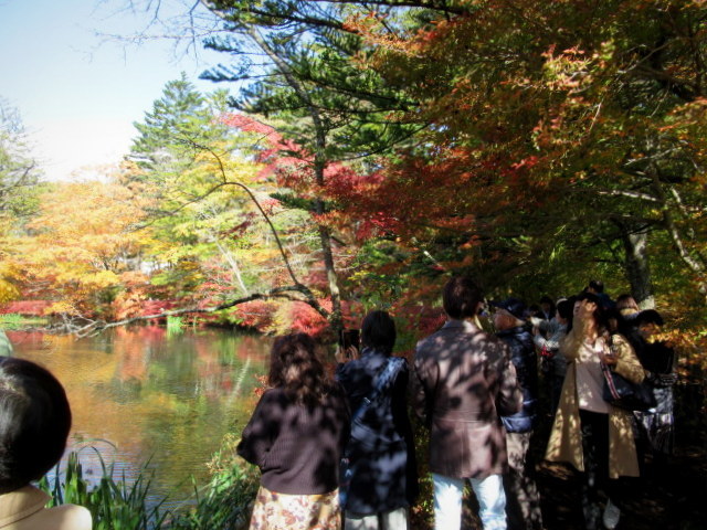 2019・軽井沢の紅葉速報④ * 10月30日の雲場池~ケラ池スケートリンクの紅葉♪_f0236260_14495922.jpg