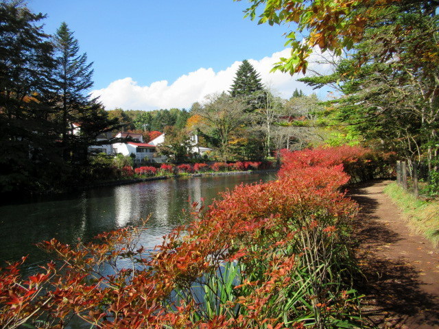 2019・軽井沢の紅葉速報④ * 10月30日の雲場池~ケラ池スケートリンクの紅葉♪_f0236260_14502750.jpg