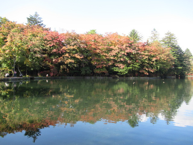 2019・軽井沢の紅葉速報④ * 10月30日の雲場池~ケラ池スケートリンクの紅葉♪_f0236260_14543982.jpg