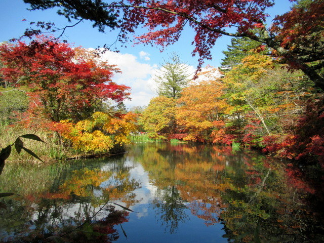 2019・軽井沢の紅葉速報④ * 10月30日の雲場池~ケラ池スケートリンクの紅葉♪_f0236260_14581521.jpg