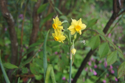 e0181373_22140902.jpg