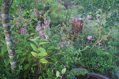 e0181373_22150682.jpg
