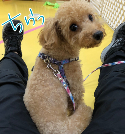 トレーニングブログ_f0357682_20015435.jpg