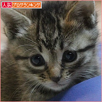 動物愛護団体、取材してきました!_a0389088_10325162.jpg