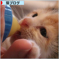 動物愛護団体、取材してきました!_a0389088_10325235.jpg