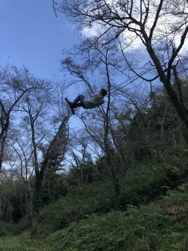 竹を切った。_d0087595_17123213.jpeg