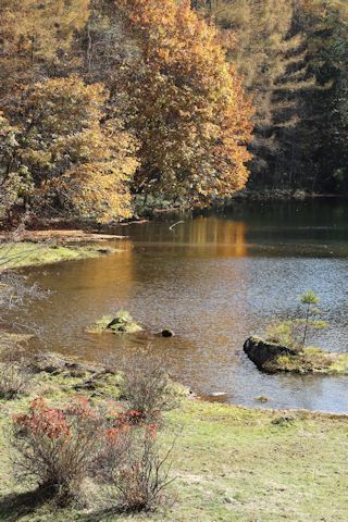 c0090198_18152415.jpg