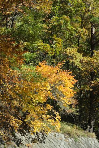 c0090198_18242135.jpg