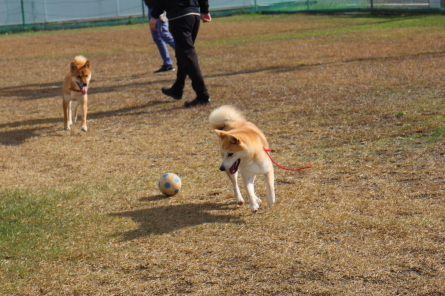 連休の始まりです♪_f0170713_18091413.jpg