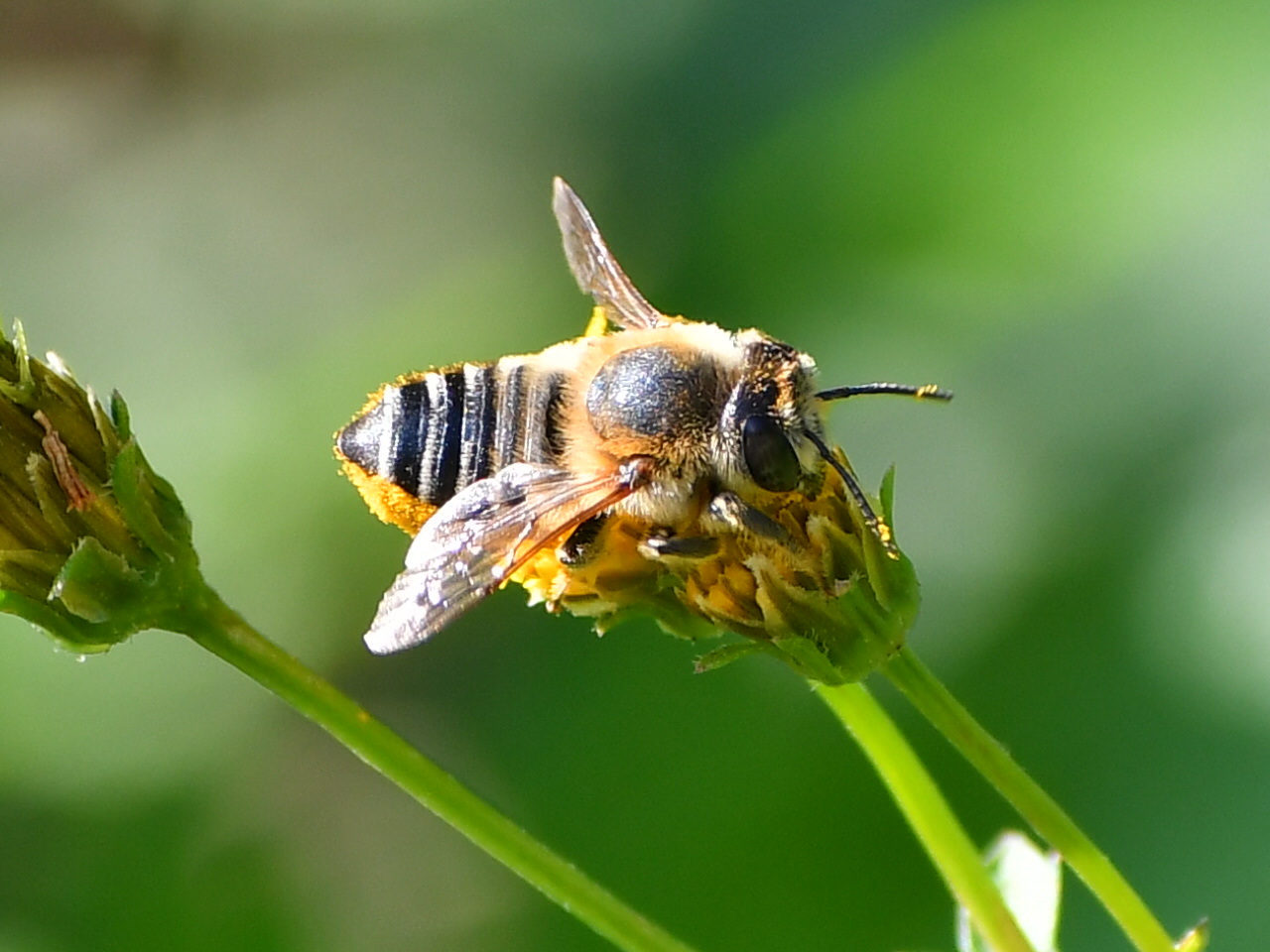 f0340732_21095559.jpg