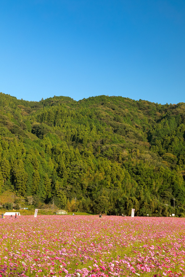 d0377637_15345340.jpg