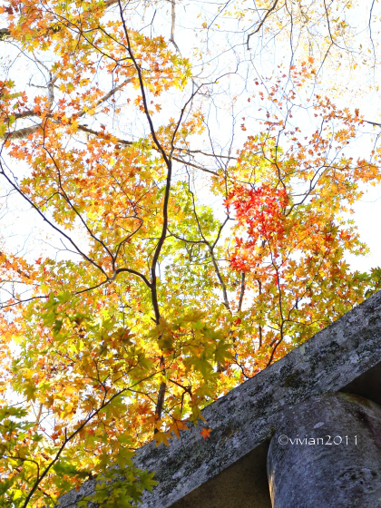 鹿沼 紅葉めぐり2019 ~古峯神社の古峯園~_e0227942_21432428.jpg