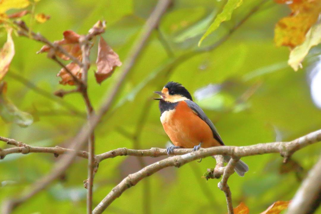e0403850_20160284.jpg