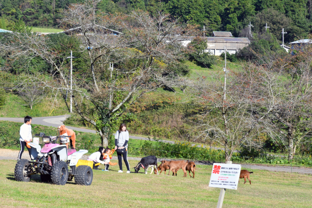 ソフトクリームのある風景　11/02_b0214652_18043492.jpg