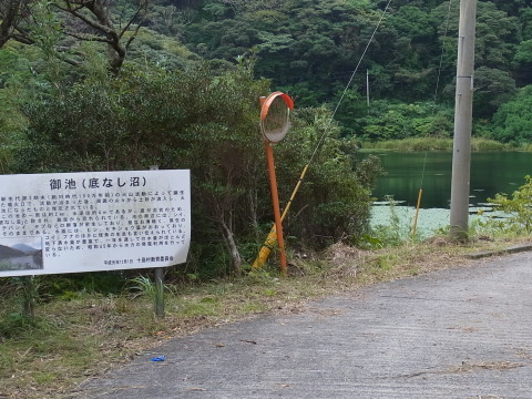 中之島の底なし沼 虫 とったり とったり