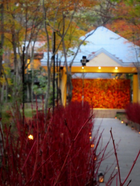 f0236260_01473508.jpg