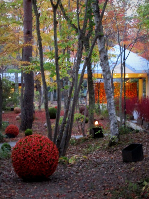 f0236260_01475089.jpg